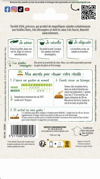 Potagères - Chicorée Frisée Très Fine Maraîchère 3 - MEDIA_PACKAGING_VERSO